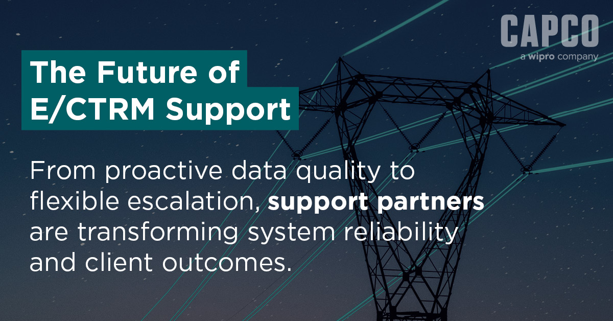 Rethinking Support: How Strategic Partners Are Transforming E/CTRM Services