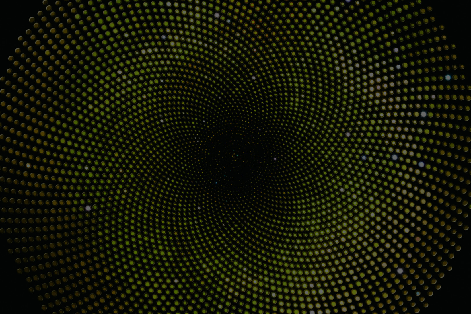 Capco: Capital Markets 2025