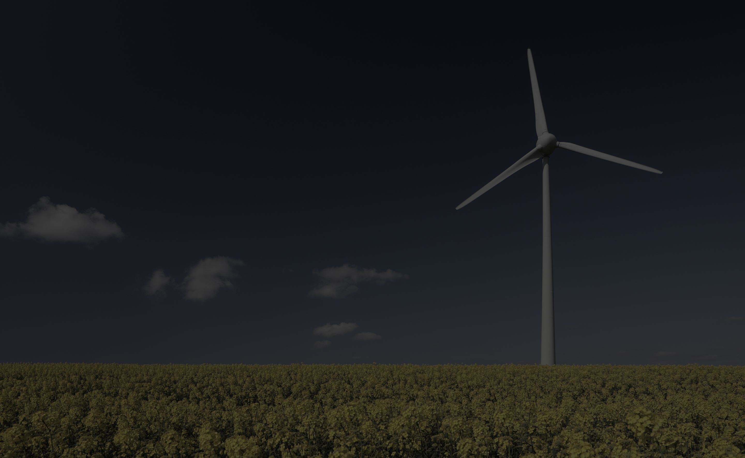 Image of a field of yellow flowers with a wind turbine.