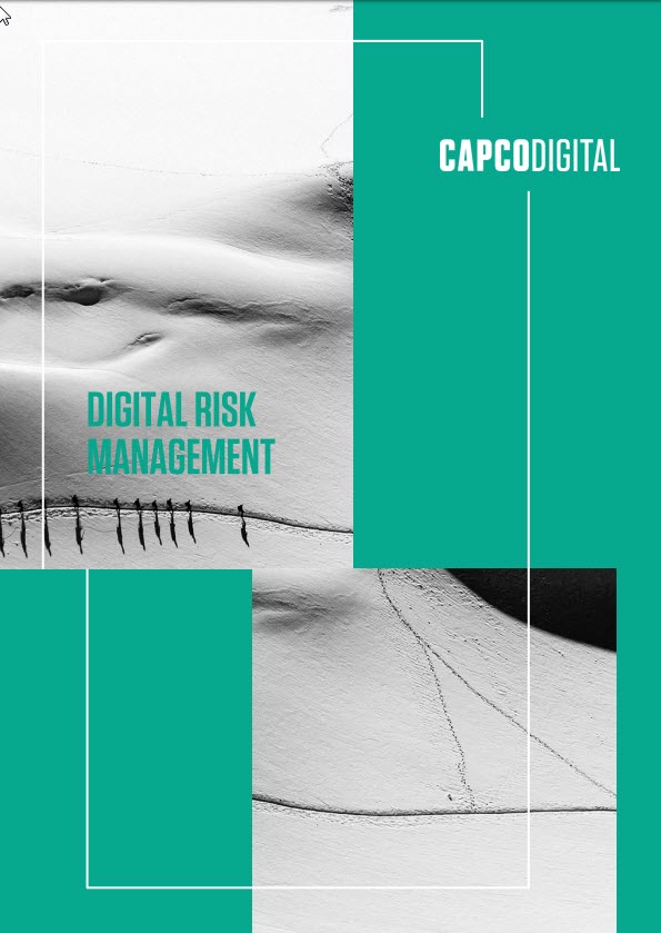 Digital Risk Management PDF