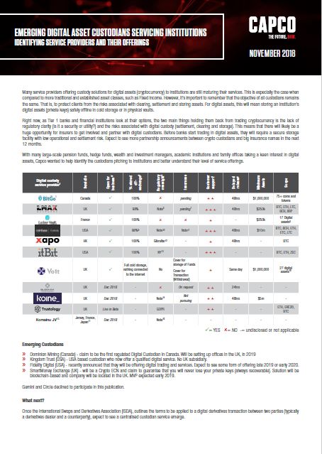 Thumbnail of Digital Custodians report 